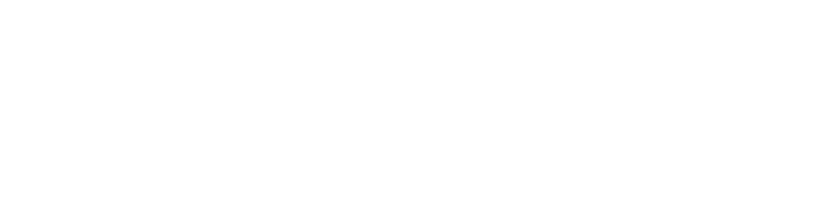 LEAD STEP